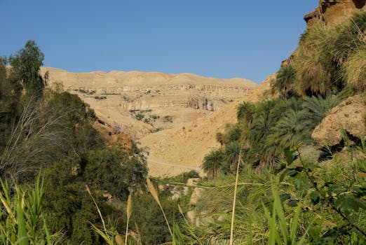 pexels photo 31718224 31718224 Explore the stunning desert canyon landscape of Karak, Jordan, featuring lush greenery and rugged cliffs.