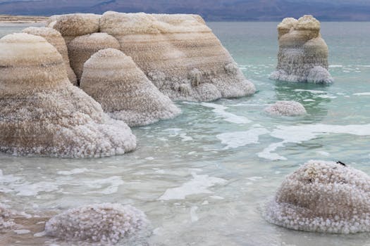 pexels photo 35776142 35776142 Unique salt formations in the Dead Sea create a stunning natural landscape.